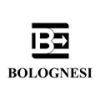 lakeshore-bolognesi-logo.jpg